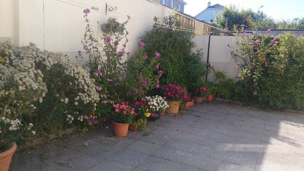 Seashore Lodge Guesthouse Galway Oda fotoğraf